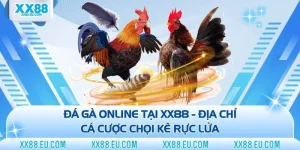 Đá gà online